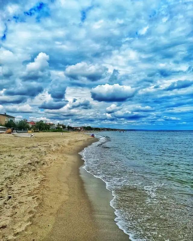 ساحل سیلیوری