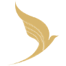 وارش