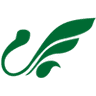 ماهان