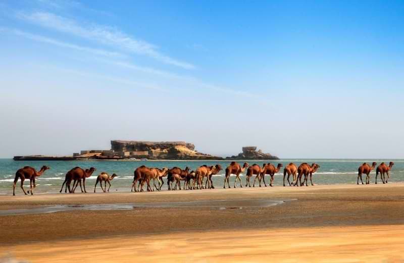 جزیره ناز