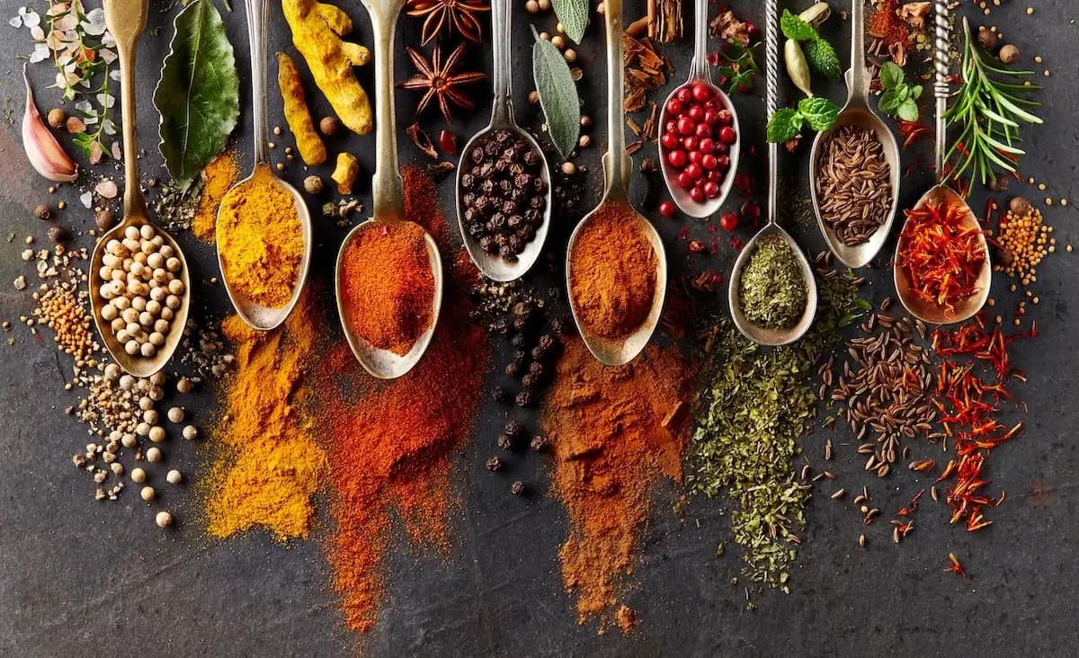 زیورآلات صدفی و دریایی